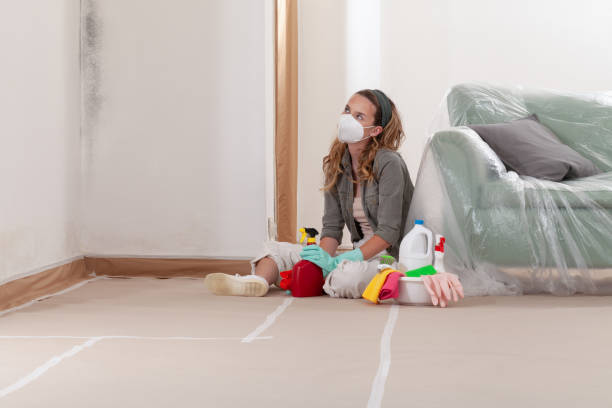 Reliable Mold Testing contractor in Plant City, FL by WQB Mold Removal